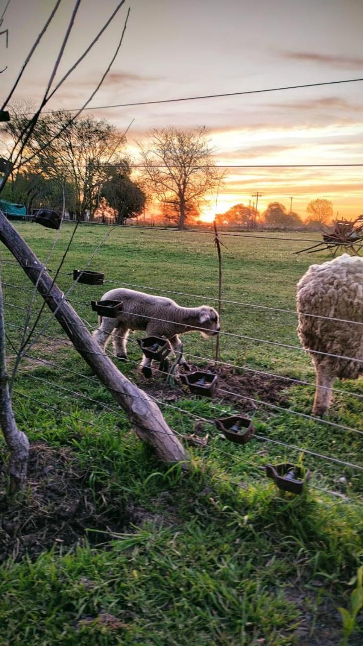 El Corral * Carmen de Areco