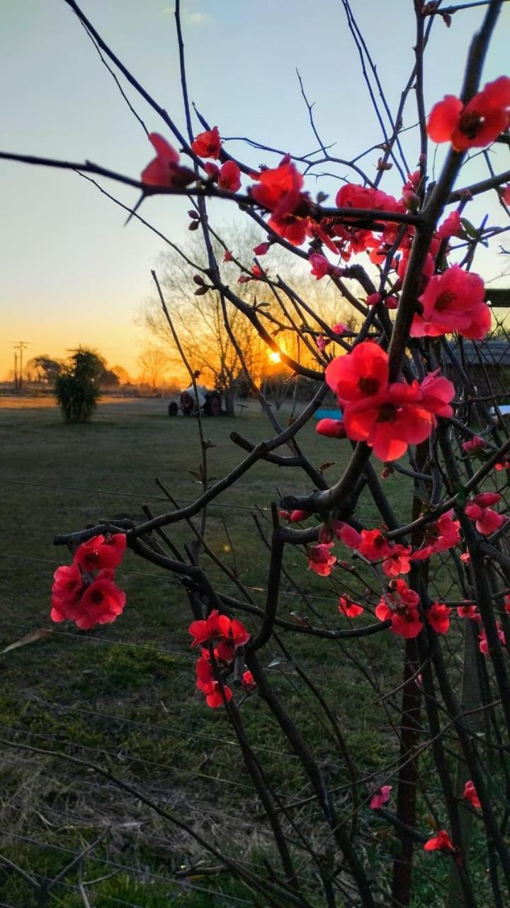 El Corral Carmen de Areco